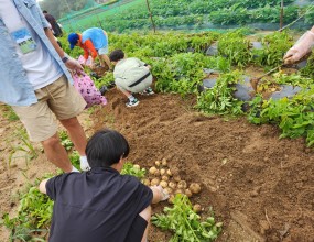 포실포실 맛있는 감자케기